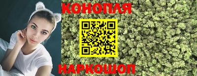 молекула духа Гатчина