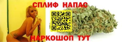 молекула духа Гатчина