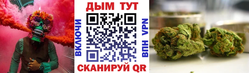 Канабис план  Лабытнанги 